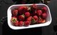 Agrarian Kitchen Eatery And Derwent Valley Gourmet Food Tour - thumb 8
