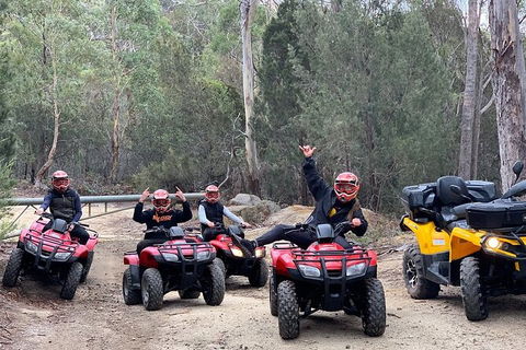 Quad Bike 2-Hour Adventure: Freycinet National Park - Accommodation Ballina 4