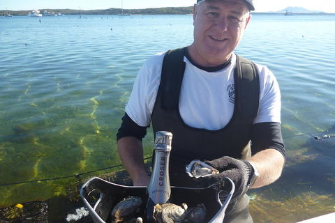 Coffin Bay Oyster Farm & Tasting Tour - Accommodation Ballina 0