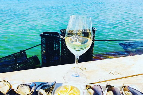 Coffin Bay Oyster Farm & Tasting Tour - Accommodation Ballina 11
