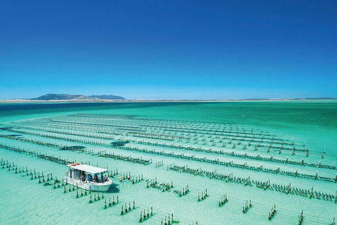Coffin Bay Private Day Tour From Port Lincoln - A Taste Of Coffin Bay - Accommodation Ballina 0