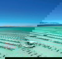 Coffin Bay Day Tour - A Taste of Coffin Bay - Accommodation Ballina