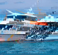 Poseidon Outer Great Barrier Reef Snorkeling and Diving Cruise from Port Douglas - Accommodation Ballina