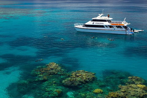 Poseidon Outer Great Barrier Reef Snorkeling And Diving Cruise From Port Douglas - Accommodation Ballina 2