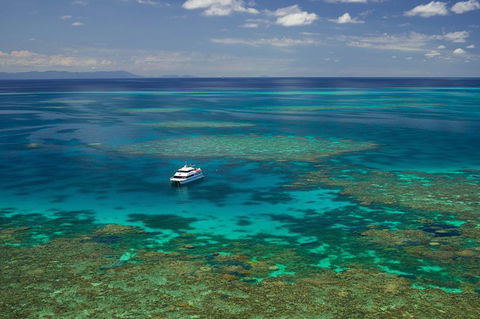 Poseidon Outer Great Barrier Reef Snorkeling And Diving Cruise From Port Douglas - Accommodation Ballina 5