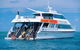 Poseidon Outer Great Barrier Reef Snorkeling And Diving Cruise From Port Douglas - thumb 7