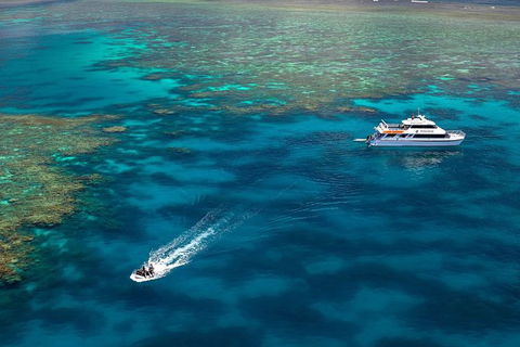 Poseidon Outer Great Barrier Reef Snorkeling And Diving Cruise From Port Douglas - Accommodation Ballina 9
