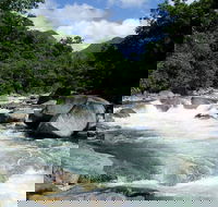 Daintree Rainforest Cape Tribulation Mossman Gorge in a day - Accommodation Ballina