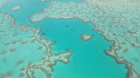 Reef And Island Scenic Flight From Airlie Beach - Accommodation Ballina 3