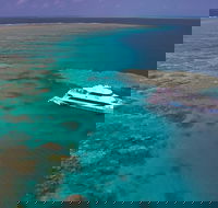 Silversonic Outer Great Barrier Reef Dive and Snorkel Cruise from Port Douglas - Accommodation Ballina