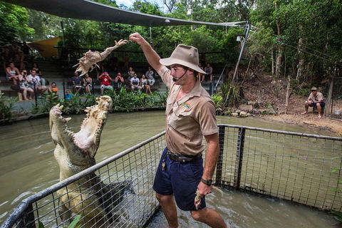 Full-Day Tour With Kuranda Scenic Railway, Skyrail Rainforest Cableway, And Hartley's Crocodile Adventures From Cairns - Accommodation Ballina 1