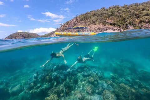 Ocean Rafting Tour To Whitehaven Beach, Hill Inlet Lookout & Top Snorkel Spots - Accommodation Ballina 16