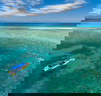 Ocean Safari Great Barrier Reef Experience in Cape Tribulation - Accommodation Ballina