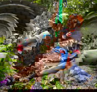 Cape Tribulation Jungle Surfing Canopy Tour - Accommodation Ballina