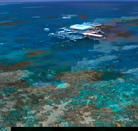 Quicksilver Outer Great Barrier Reef Snorkel Cruise from Port Douglas - Accommodation Ballina