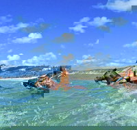 Horse Swimming Ride from Rainbow Beach - Accommodation Ballina