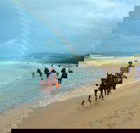 Rainbow Beach Horse Ride - Accommodation Ballina