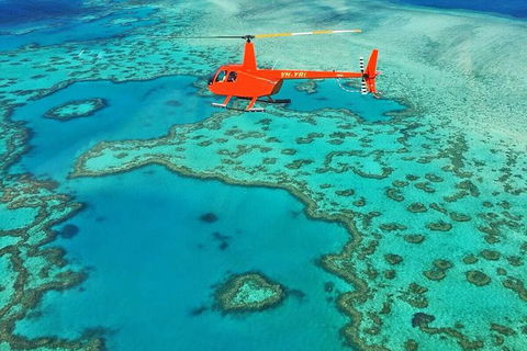 Whitehaven Heli Tour - Accommodation Ballina 4