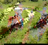 Country Day Ride from Mt Goomboorian with Rainbow Beach Horse Rides - Accommodation Ballina