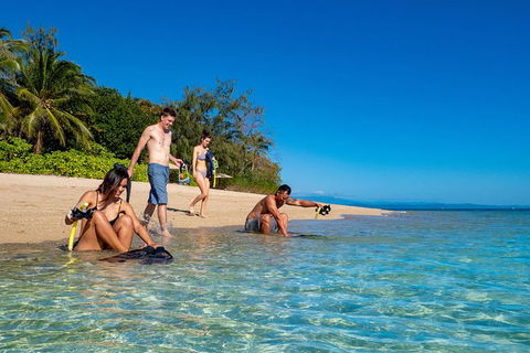 Half Day Low Isles Snorkelling Tour From Port Douglas - Accommodation Ballina 0