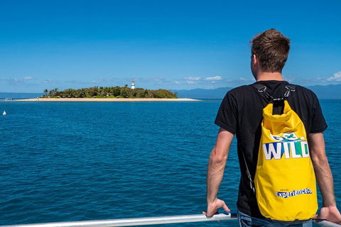 Half Day Low Isles Snorkelling Tour From Port Douglas - Accommodation Ballina 5