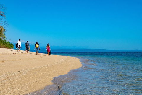 Half Day Low Isles Snorkelling Tour From Port Douglas - Accommodation Ballina 3