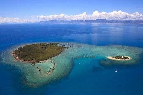 Half Day Low Isles Snorkelling Tour From Port Douglas - Accommodation Ballina 4