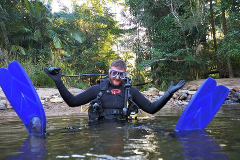Rainforest Platypus Night Dive (Certified Divers Only Once Day Dive Completed) - Accommodation Ballina 10