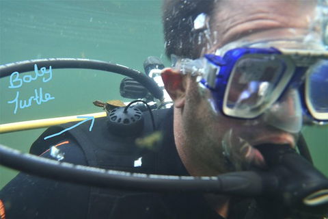 Rainforest Platypus Night Dive (Certified Divers Only Once Day Dive Completed) - Accommodation Ballina 4