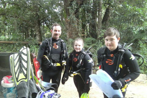 Rainforest Platypus Night Dive (Certified Divers Only Once Day Dive Completed) - Accommodation Ballina 8