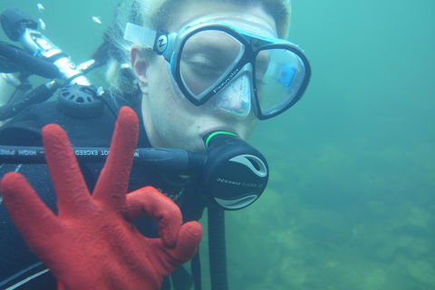 Rainforest Platypus Night Dive (Certified Divers Only Once Day Dive Completed) - Accommodation Ballina 5