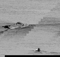 Overnight Tweed Coast Camping and Surfing Getaway From The Gold Coast - Accommodation Ballina