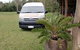 Atherton Tablelands Small-Group Food & Wine Tasting Tour From Port Douglas - thumb 5