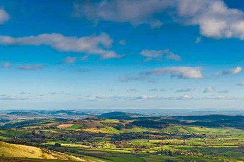 Atherton Tablelands Small-Group Food & Wine Tasting Tour From Port Douglas - Accommodation Ballina 20