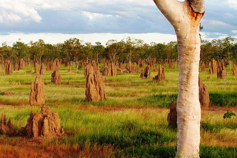 Atherton Tablelands Small-Group Food & Wine Tasting Tour From Port Douglas - Accommodation Ballina 18