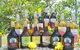 Atherton Tablelands Small-Group Food & Wine Tasting Tour From Port Douglas - thumb 16