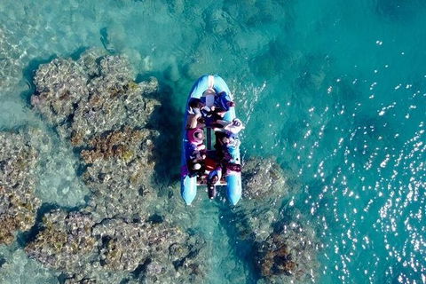 Glass-bottom Boat Tour With Whitehaven Beach - Accommodation Ballina 0