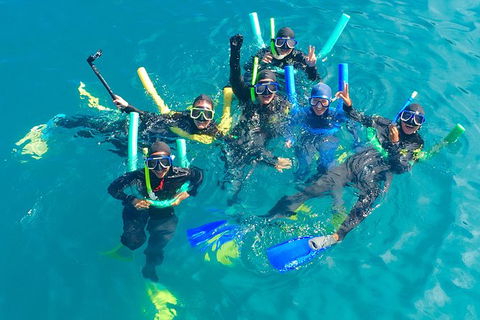 Glass-bottom Boat Tour With Whitehaven Beach - Accommodation Ballina 1