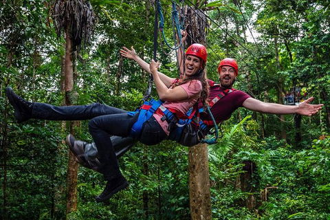 Daintree Atttractions Pass: The Best Of The Daintree In A Day - Accommodation Ballina 1