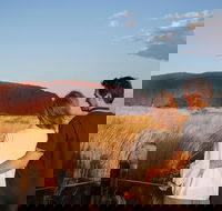 Uluru Ayers Rock Sunset with Outback Barbecue Dinner and Star Tour - Accommodation Ballina