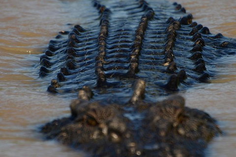 Darwin Jumping Crocodiles Cruise On Adelaide River - Accommodation Ballina 1