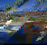 Palm Valley 4WD Tour - Accommodation Ballina