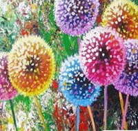 Dandelions - Six Tanks 3.00-5.00pm