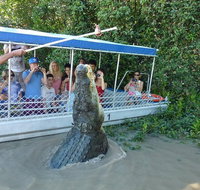 Jumping Croc Cruise