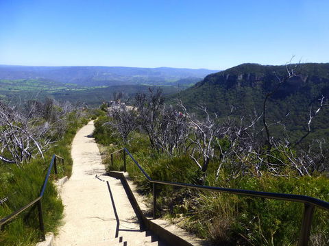 All Inclusive Blue Mountains Small-Group Day Trip From Sydney - Accommodation Ballina 9