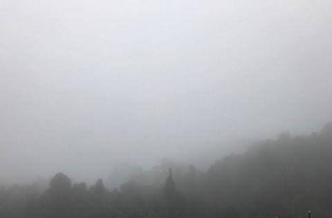 All Inclusive Blue Mountains Small-Group Day Trip From Sydney - Accommodation Ballina 20