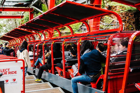 All-Inclusive Blue Mountains Day Trip With River Cruise - Accommodation Ballina 7
