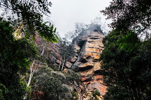 All-Inclusive Blue Mountains Day Trip With River Cruise - Accommodation Ballina 3