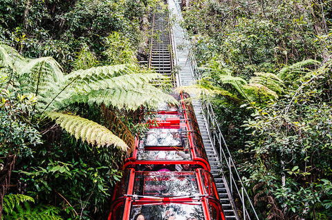 All-Inclusive Blue Mountains Day Trip With River Cruise - Accommodation Ballina 6