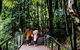 All-Inclusive Blue Mountains Day Trip With River Cruise - thumb 10